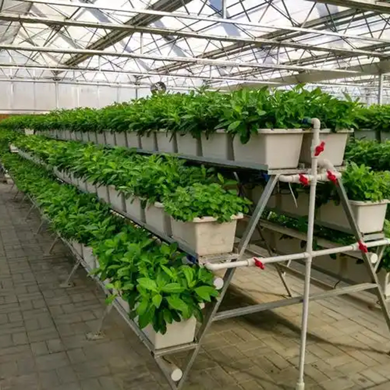 儋州市植物工厂水培蔬菜 - 方案