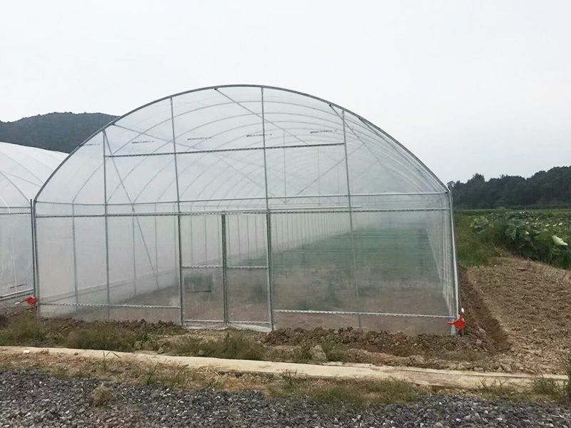 儋州市薄膜大棚植物工厂 - 排名
